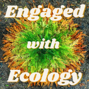 Engaged With Ecology Podcast